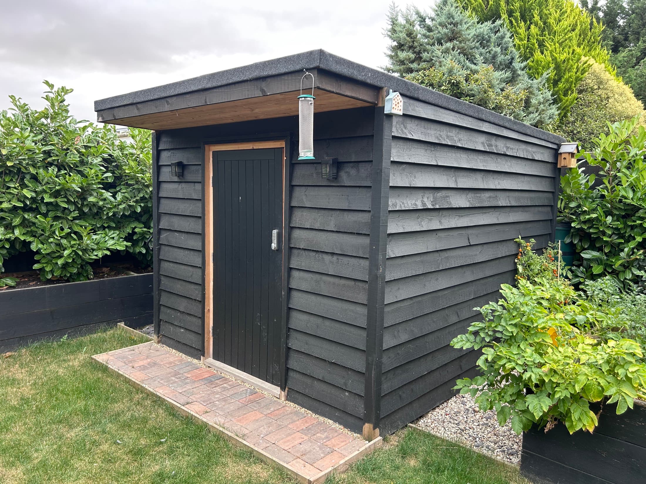 Black timber garden shed with planted borders in Essex